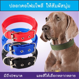 N026 ปลอกคอสุนัข แบบไนล่อน ปลอกคอสัตว์เลี้ยง หมา แมว พันธ์ใหญ่-พันธ์เล็ก pet collar ⭐️พร้อมส่ง⭐️