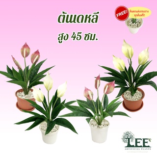 สินค้า ต้นเดหลีกวักเงิน เสมือนจริง สูง45 ซม. #ต้นไม้ปลอมตกแต่งบ้าน Leeartplants