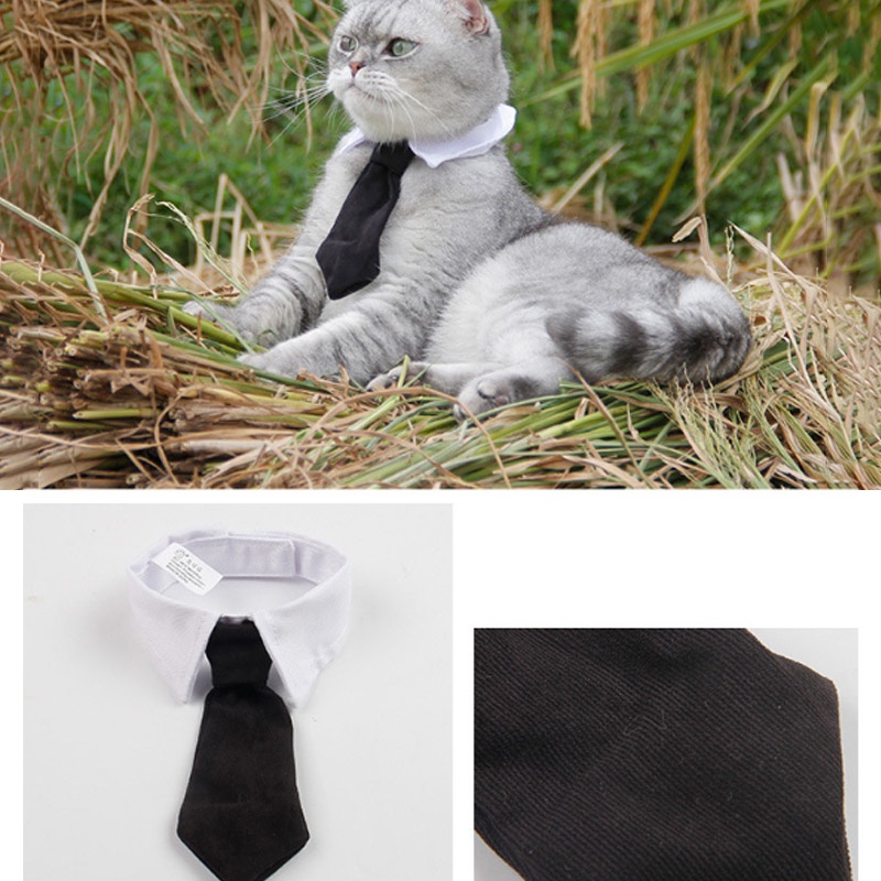 cod-pet-tie-เนคไทสัตว์เลี้ยง-ปลอกคอแมว-เนคไท-ปรับสายได้-ดีไซน์เรียบหรู-เครื่องประดับสัตว์เลี้ยง-ปลอกคอสัตว์เลี้ยง