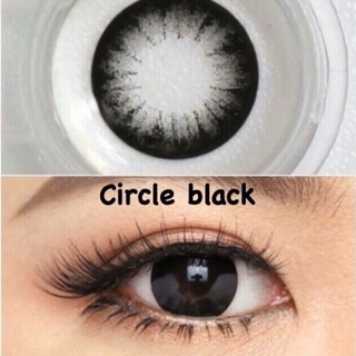 Circle Black (1)(2) ONLY บิ๊กอาย สีดำ ดำ ลายขายดี ใส่แล้วตาโต ดวงตาดูกลมสวย ธรรมชาติ Wink Pitchy Lens ค่าสายตา สายตาสั้น