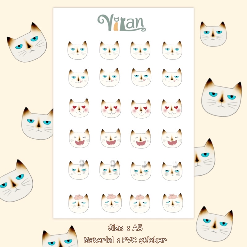 vilan-sticker-kathi-สติกเกอร์ลายแมว-พี่กะทิ-แมววิเชียรมาส-size-a5-a6