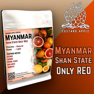 เมล็ดกาแฟคั่ว Myanmar Shan State-Only Red (Medium roaster)