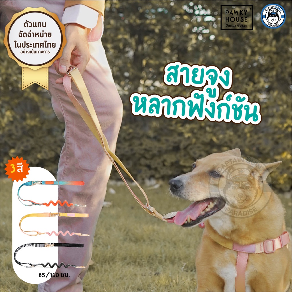 สายจูงสุนัข-multifunction-leash-pawky-house-จากตัวแทนจำหน่ายอย่างเป็นทางการในประเทศไทย