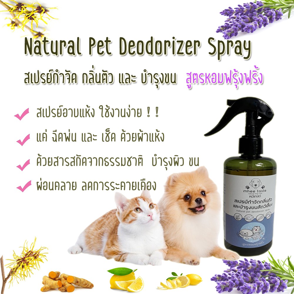 ภาพสินค้าNatural Pet Deodorizer Spray สเปรย์กำจัดกลิ่นตัวและบำรุงขนสัตว์เลี้ยง สูตรหอมฟรุ้งฟริ้ง by MheeTaste จากร้าน mheetaste บน Shopee ภาพที่ 1