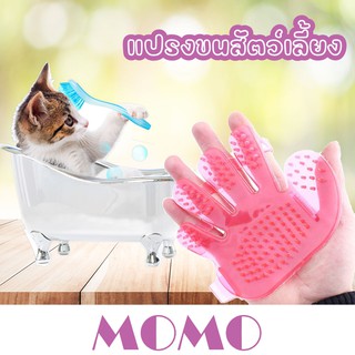 ภาพหน้าปกสินค้าMOMO แปรงขนแมว หวีแปรงขนสัตว์เลี้ยง (GG02) แปรงขนสุนัข ถุงมือแปรงขนสุนัข Pet Washing Glove ซึ่งคุณอาจชอบสินค้านี้