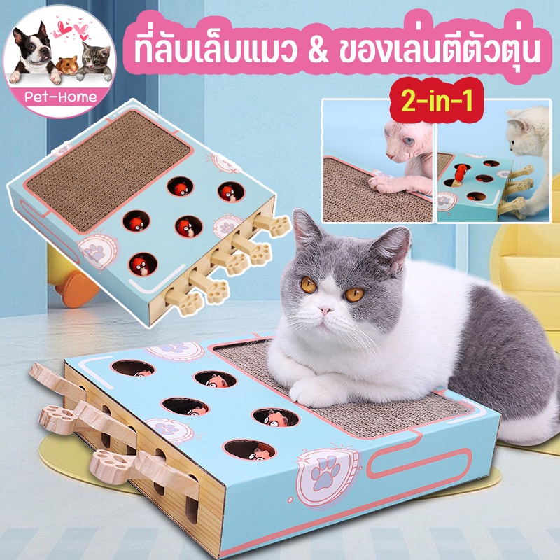 พร้อมส่งจ้า-2-in-1-กล่องแมวตบ-ที่ลับเล็บแมว-ของเล่นแมว-ที่ฝนเล็บแมวไม้-ครบเซ็ต-เสริมทักษะ-สร้างปฏิสัมพันธ์