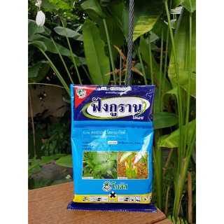 ฟังกูราน-โอเอช 100g (คอปเปอร์ ไฮดรอกไซด์ 77% WP) ป้องกันกำจัดโรคพืชที่เกิดจากแบคทีเรีย และเชื้อรา