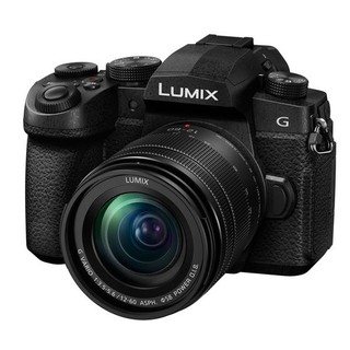 ภาพขนาดย่อของสินค้าPanasonic G95 KIT 12-60/3.5-5.6