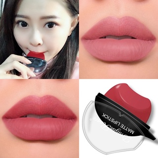 【In Stock】Dragon Ranee Waterproof Moisturizing Matte Lazy ลิปสติก 12 สี