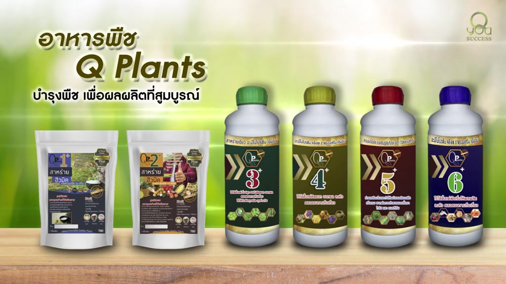 q-plants-คิวแพลน-qyou-หัวอาหารพืช-สูตรเข้มข้นจบครบทุกอย่างที่พืชต้องการ-ปุ๋ยทางใบ-ปุ๋ยหมัก-ปุ๋ยชีวภาพ