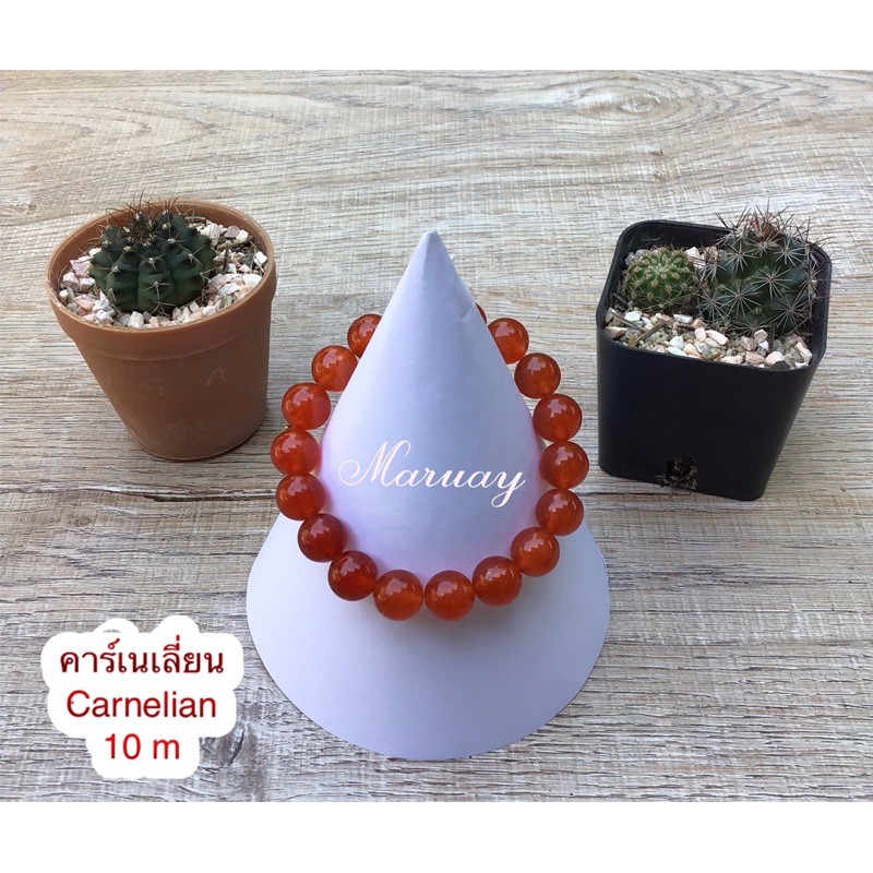 คาร์เนเลียน-carnelian-แสดเงินแสน-10m