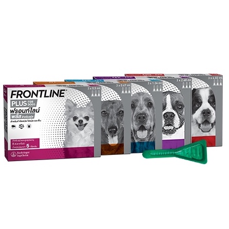 ภาพหน้าปกสินค้า(ส่งฟรี) Frontline Plus Dog ยาหยอดกำจัดเห็บ ยาหยอดหมัด ขนาดบรรจุ 1 กล่องมี 3 หลอด จากร้าน dogclub_shop บน Shopee