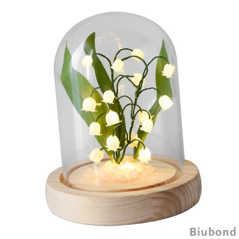 biubond-โคมไฟ-led-รูปโดม-ดอกลิลลี่แห่งหุบเขา-ใช้แบตเตอรี่-สําหรับตกแต่งโต๊ะ-ห้องนอน