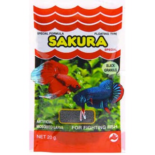 Sakura ปลากัด (ลูกน้ำเม็ด)