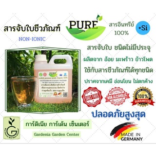 สารจับใบชีวภัณฑ์PURE สารอินทรีย์100%สารจับใบชนิดไม่มีประจุ บรรจุ 1 ลิตร จากราคาปกติ 450 ลด 50% เหลือ 225 ฿