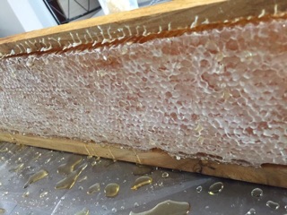ภาพขนาดย่อของภาพหน้าปกสินค้ารวงผึ้งสดแท้100% by Dara จากร้าน ra312539 บน Shopee ภาพที่ 1