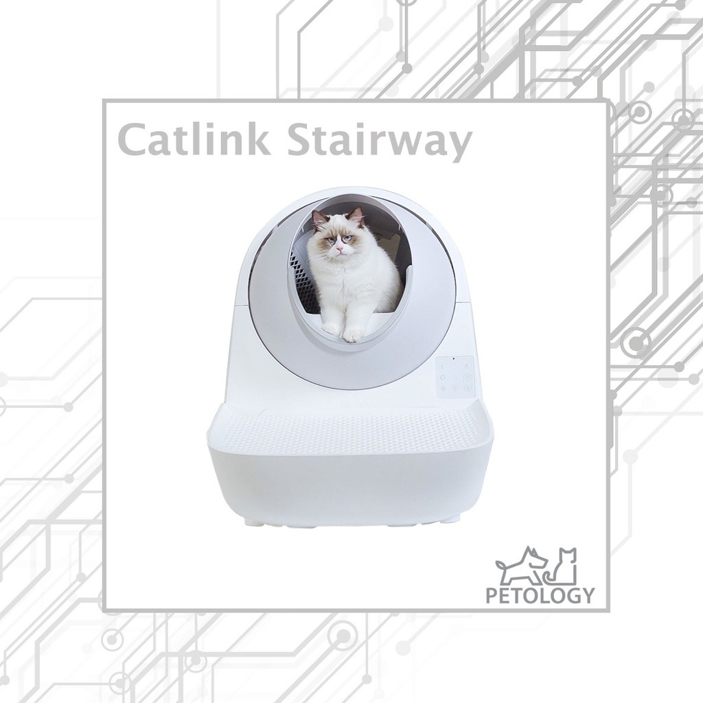 ราคาและรีวิวPetology - บันไดห้องน้ำแมว Catlink Stairway