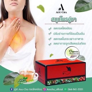 1 กล่อง❇️ Auu-Cha อู่ชา ชาลดกรดไหลย้อน ชาแก้กรดไหลย้อน สมุนไพรลดกรดไหลย้อน สมุนไพรแก้กรดไหลย้อน สมุนไพรย่านางแดง 1 กล่อง