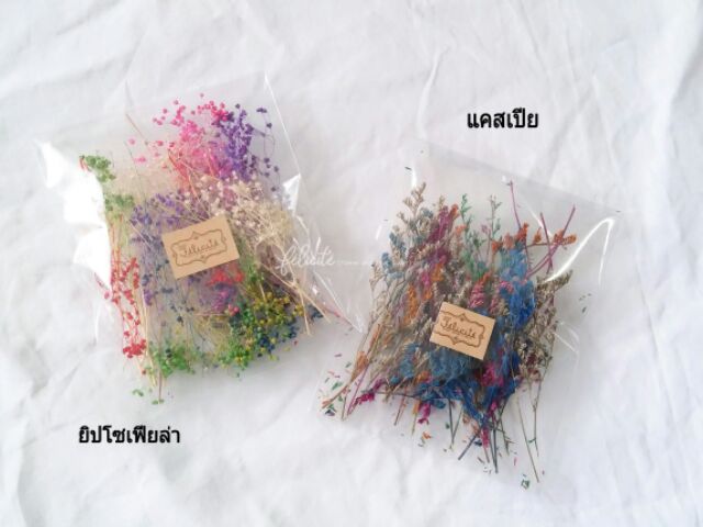 ดอกไม้แห้ง-ดอกจริง-อ่านรายละเอียดสีดอกไม้-ด้านล่างให้ชัดเจน