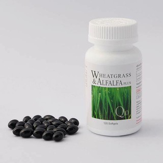 ผักเม็ด Wheat grass &amp; Alfalfa ของแท้100%  สูตรดั้งเดิม Amstrong