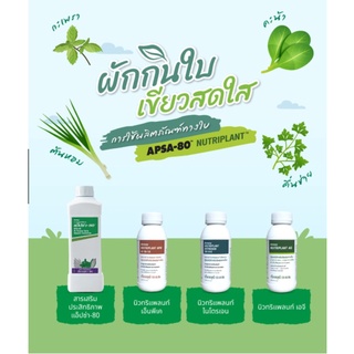 ชุดปุ๋ยปลูกผักกินใบ นิวทริแพลนท์เอจี,ไนโตรเจน ,NPK, แอปซ่า-80 ของแท้ช็อปไทย100%