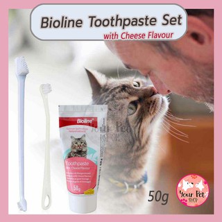 รูปภาพขนาดย่อของชุดแปรงฟันสำหรับแมวโดยเฉพาะ ยาสีฟันแมว แปรงสีฟันแมว Bioline Dental Hygiene for Cat สก็อตติช โฟลด์ เปอร์เซีย สีสวาดลองเช็คราคา