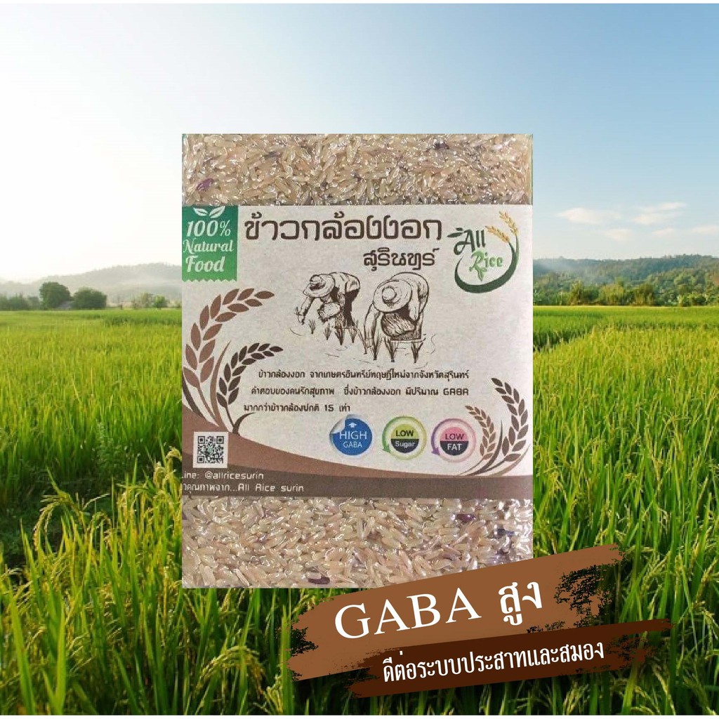 ข้าวกล้องงอก กาบ้าไรซ์ (GABA Rice) ขนาด 1 กก. | Shopee Thailand