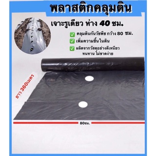 ผ้าพลาสติกคลุมดินตราเสือ 80 ซม ยาว 360เมตร เจาะรูเดียว ระยะห่างรู 40,50,60ซม.ความหนา25ไมคอน