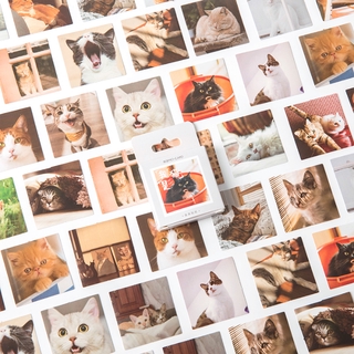 ภาพหน้าปกสินค้าimoda สติกเกอร์รูปแมว สำหรับตกแต่งสมุดไดอารี่ 46 ชิ้น/แพ็ค
 ที่เกี่ยวข้อง