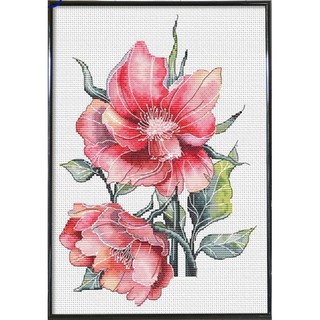 ชุดปักครอสติช กุหลาบป่า กุหลาบ ดอกไม้ (Wild rose flower cross stitch kit)