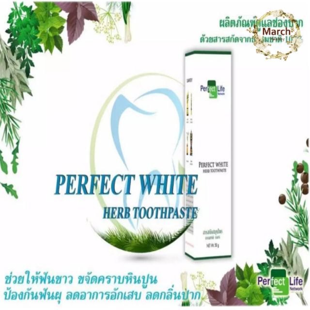 Perfect Life/Perfect White Herb Toothpaste ยาสีฟันสมุนไพรแท้ 100%(1 ...