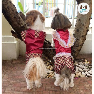 ภาพขนาดย่อของสินค้าชุดไทยสุนัข ชุดไทยแมว ชุดไทยสำหรับสัตว์เลี้ยง ต้อนรับวันลอยกระทง ชุดไทยหมา แบบโจงกระเบง ทั้งหญิงและชาย