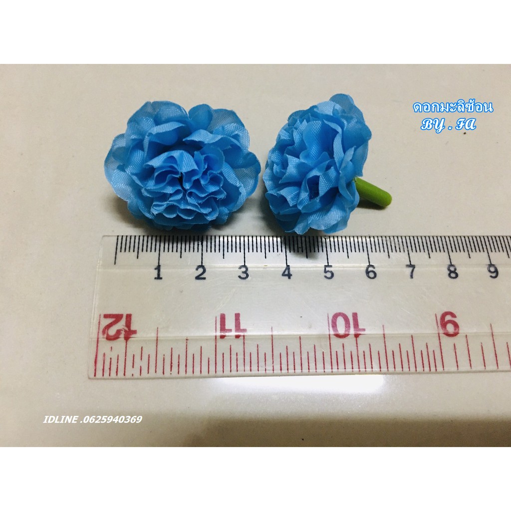 ดอกมะลิ-ดอกมะลิซ้อน-ดอกมะลิวันแม่-no-080