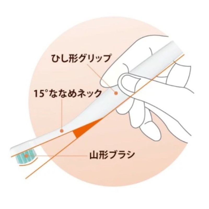 แปรงสีฟันเด็ก-combi-นำเข้าจากญี่ปุ่น-made-in-japan-สินค้าลิขสิทธิ์แท้จาก-combi