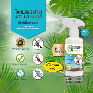 ภาพหน้าปกสินค้าไล่แมลงสาบ ไล่มด ไล่ยุง ไล่แมลง 250 มล  Cockroaches Ants Mosquitos & Insect-Free  B and K Natural ที่เกี่ยวข้อง