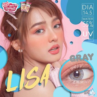 Lisa Gray (1)(2) Kitty Kawaii บิ๊กอาย สีเทา เทา ตาโต ขอบฟุ้ง คอนแทคเลนส์ Contact Lens ค่าสายตา สายตาสั้น แฟชั่น