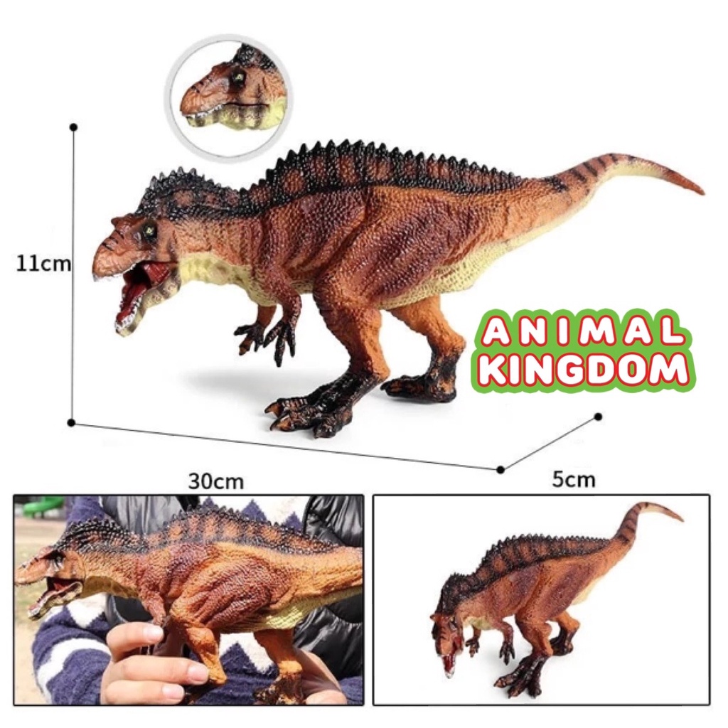 animal-kingdom-โมเดลไดโนเสาร์-acrocanthosaurus-ขนาด-30-00-cm-จากหาดใหญ่