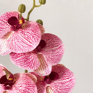 ภาพขนาดย่อของภาพหน้าปกสินค้าดอกไม้ประดิษฐ์ Phalaenopsis High-End สําหรับตกแต่งบ้าน จากร้าน moshee.th บน Shopee ภาพที่ 2