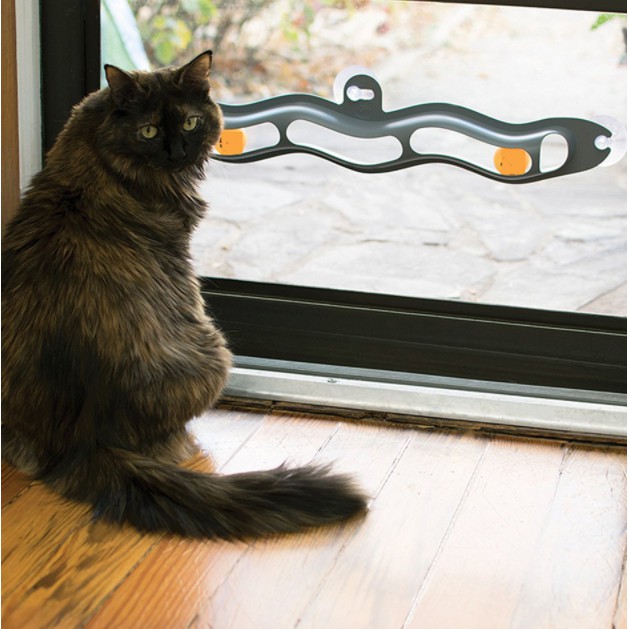car-accessories-รางบอลของเล่นแมว-ของเล่นแมว-ลูกบอลแมว-รุ่น-track-n-roll-แบบติดกระจก-ขนาด-8-5x-57-cm