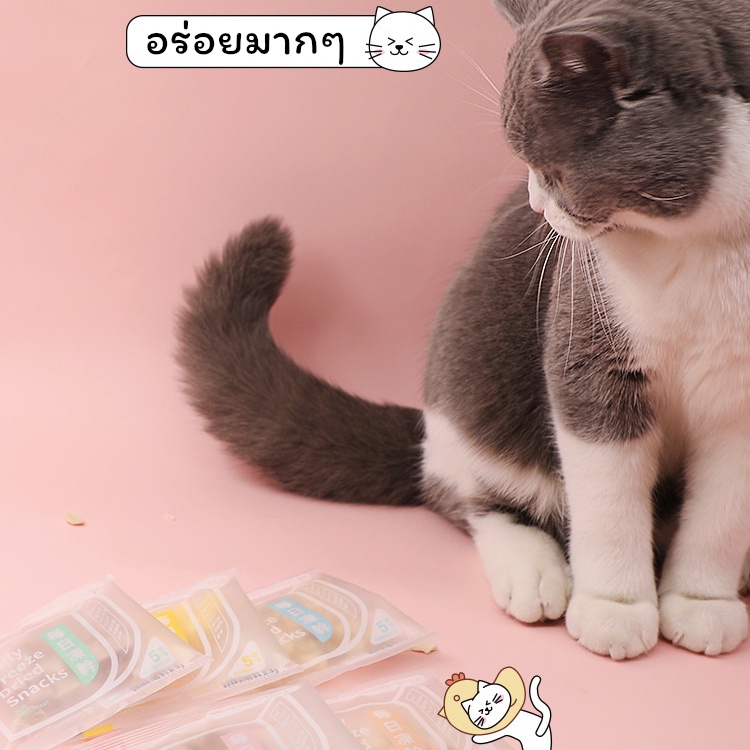 ขนมแมว-ขนมแมวฟรีซดราย-ฟรีซดราย-100-อารหารแมวแบบแห้ง-น้องแมวชอบ-ทานง่าย-5รสชาติ-พร้อมส่งจากไทย