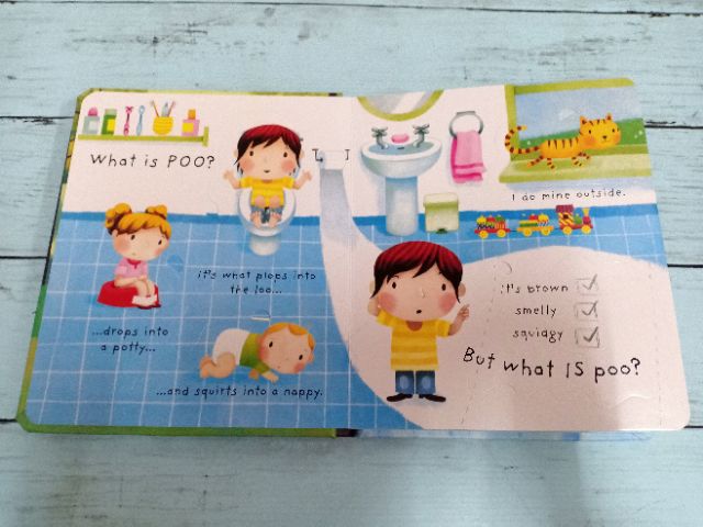 new-usborne-lift-the-flap-what-is-poo