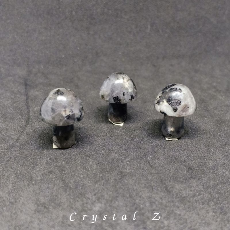 larvikite-labradorite-ลาบราโดไรต์-ลาวิไคต์-mushroomลาวิไคต์-หินแห่งเวทมนต์