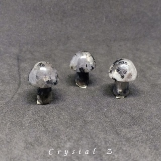 Larvikite Labradorite | ลาบราโดไรต์ ลาวิไคต์ 🔮🧙 #mushroomลาวิไคต์ 
