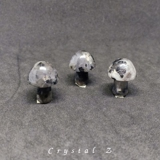 Larvikite Labradorite | ลาบราโดไรต์ ลาวิไคต์ 🔮🧙 #mushroomลาวิไคต์ "หินแห่งเวทมนต์" 💙