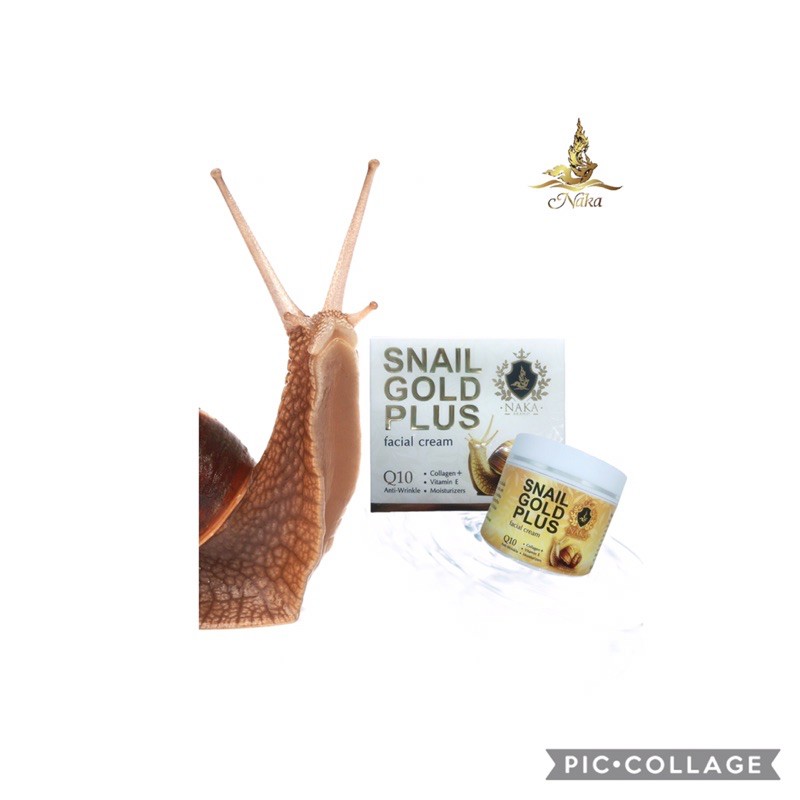 Snail gold plus facial cream | Shopee Thailand