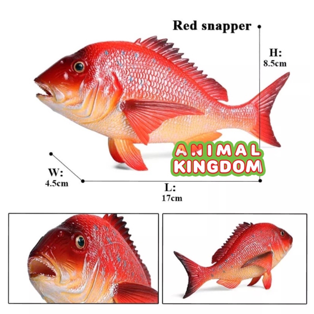 animal-kingdom-โมเดลสัตว์-ปลากระพงแดง-ขนาด-17-00-cm-จากสงขลา