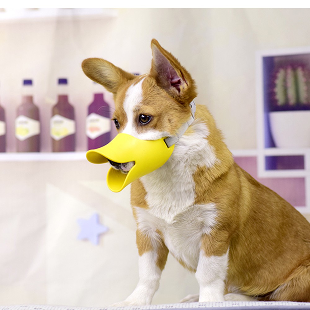 ภาพสินค้าThai.Th ปากเป็ดที่คอบปากสุนัขปากชิลิโคน ที่คอบปากสุนัขกันเห่า AZT-003S-AZT-002M-AZT-001L(มีราคาส่ง) จากร้าน zzxr1982 บน Shopee ภาพที่ 6