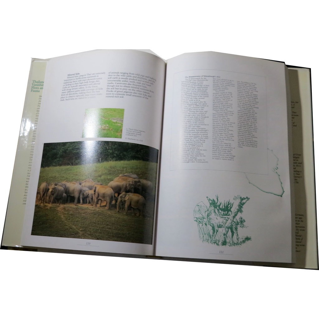 thailands-vanishing-flora-amp-fauna-ภาษาอังกฤษ-หนังสือภาพสีพืชและสัตว์ที่กำลังจะสูญพันธุ์ในประเทศไทย