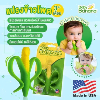 ของแท้&จัดส่งไวมาก แปรง/ยางกัดข้าวโพด (ของแท้ Made in USAจากผู้นำเข้าอย่างเป็นทางการ) สำหรับเด็ก 3 เดือนขึ้นไป -Corn Cob