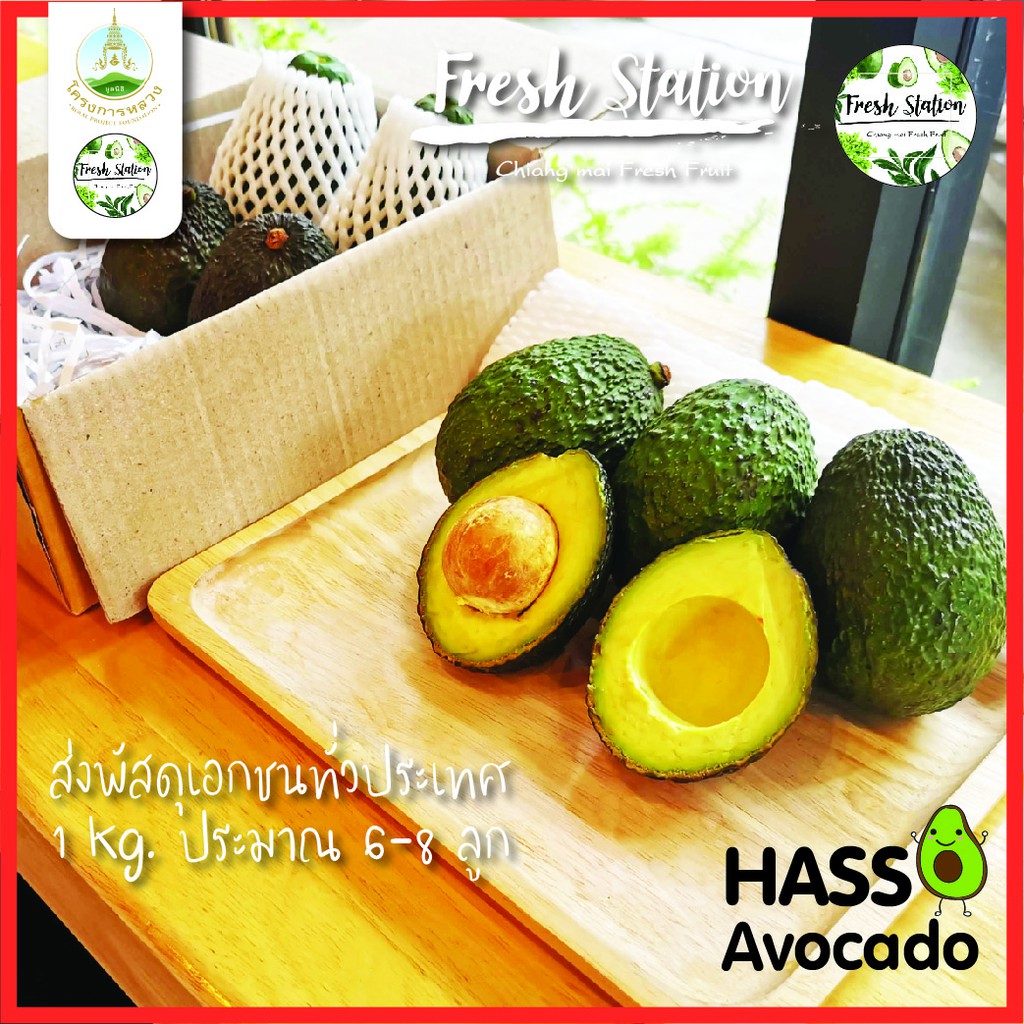 ภาพหน้าปกสินค้าอโวคาโด พันธ์ แฮส HASS  ราคาต่อ kg. อะโวคาโด จากไร่ โครงการหลวง เชียงใหม่ ผลไม้ avocado อาโวคาโด้ สุขภาพ จากร้าน fresh_station บน Shopee